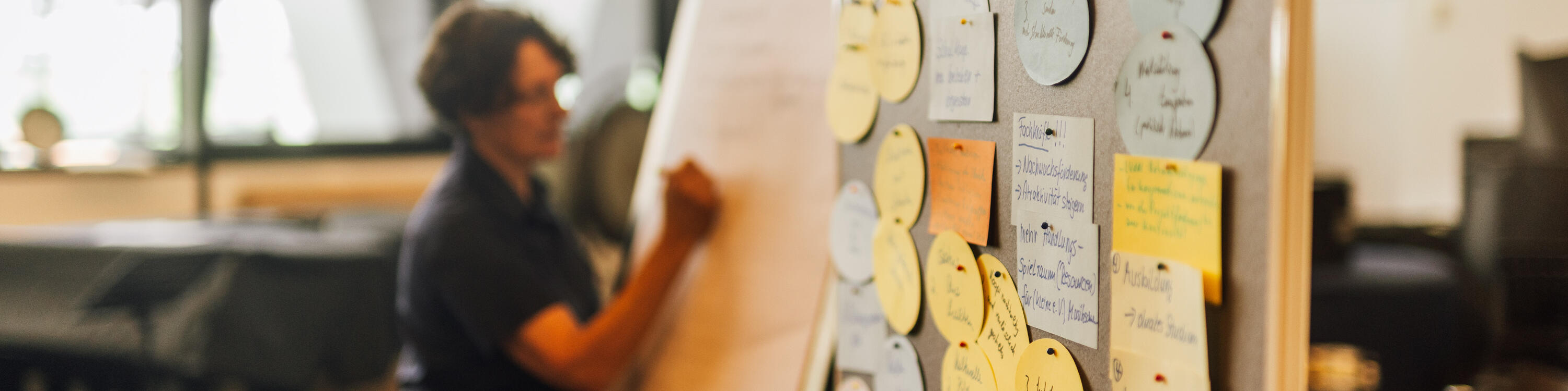 Metaplanwand mit Pins